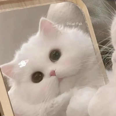 znlxf83231352's profile picture