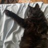 Derek profil fotoğrafı