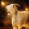 Petter Northug Jr profil fotoğrafı