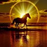حجر صوان profil fotoğrafı