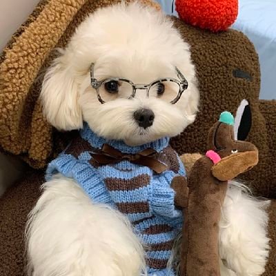 ppatchy_a's profile picture