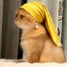 Nama perlu diisi's profile picture