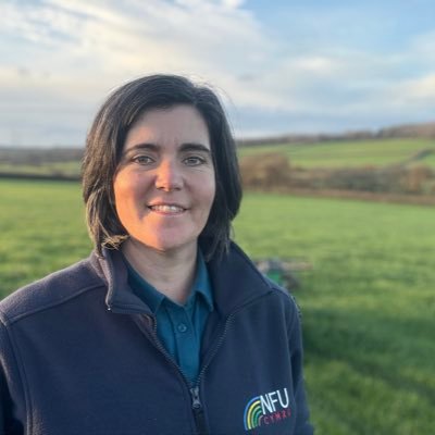 AbiReader's profile picture
