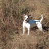 Profilbild von WinkysDawgScot