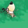 DaoDao's profile picture