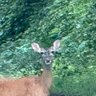 Profilbild von Watcher