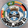 Estagiário do Grêmio 🇪🇪 profil fotoğrafı