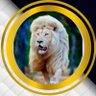 قناه ابو الاسد 123's profile picture