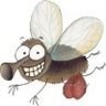 Profilbild von LaMoscaCojonera