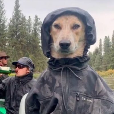 PJ_1888's profile picture