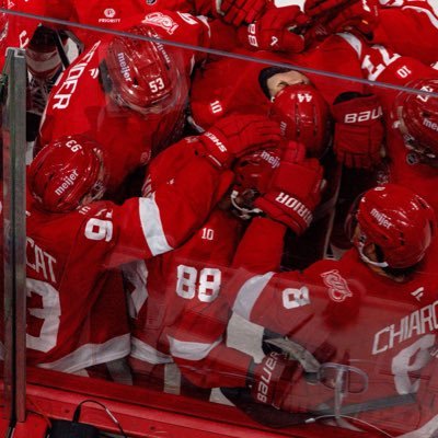 Red Wings Diehards™'s profile picture