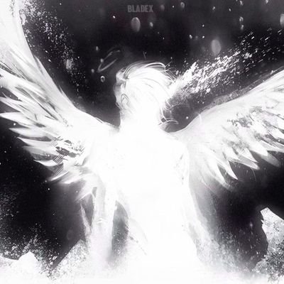 r4phael4rch_'s profile picture