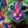Acid Cat's profile picture