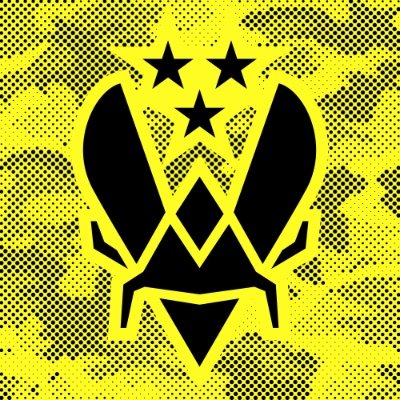 Team Vitality CS's profile picture
