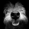 Profilbild von Kathy