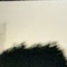 Profilbild von Recon