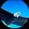 Фото профиля RMO 𝐵𝑙𝑢𝑒𝑆𝑘𝑦𝑁𝐽 #MAGA🇺🇸🇮🇱