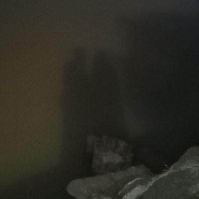 AlRaqy19451's profile picture