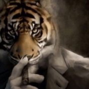 ScottTheGuy15's profile picture