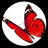 Zia Milly 🦋 l’imperatrice att di x's profile picture
