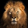 Prolibertyguy65✝'s profile picture