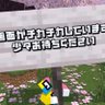 ななもも🐣 的头像