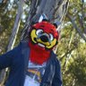Profilbild von Atchi Train Wolf