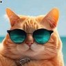 Profilbild von VHAL VAL
