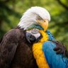 Helena Contreras profil fotoğrafı