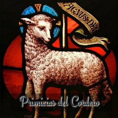 𝐏𝐫𝐢𝐦𝐢𝐜𝐢𝐚𝐬 𝐝𝐞𝐥 𝐂𝐨𝐫𝐝𝐞𝐫𝐨 ✞ن 🇻🇦's profile picture