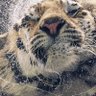 Neo profil fotoğrafı