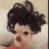 Chiboy's profile picture