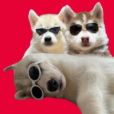 ふくまる+ぶな='s profile picture