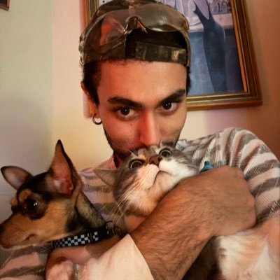 sᴇғ's profile picture