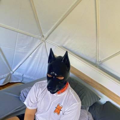 ggpppnt's profile picture