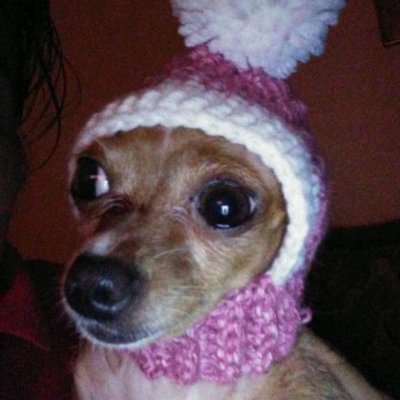 METRACK3's profile picture