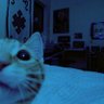 harge profil fotoğrafı