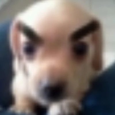 RawX's profile picture