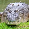 Фото профиля Bobbo smith