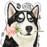 YamatoY's profile picture