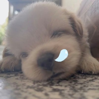 kkkullll's profile picture