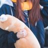Profilbild von akari