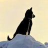 Profilbild von J.Gothyer