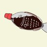🪽しょうゆ🐈⬛📘 的头像