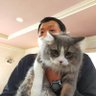 岩谷浩和 的头像