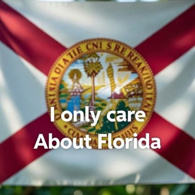Fl941_SRQ's profile picture