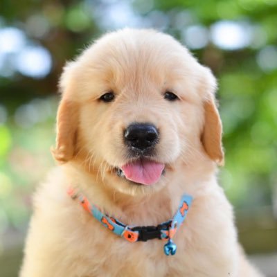 ^•^'s profile picture