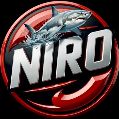 _Niro_x's profile picture