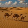 Фото профиля أبو صالح