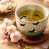 うめ茶's profile picture